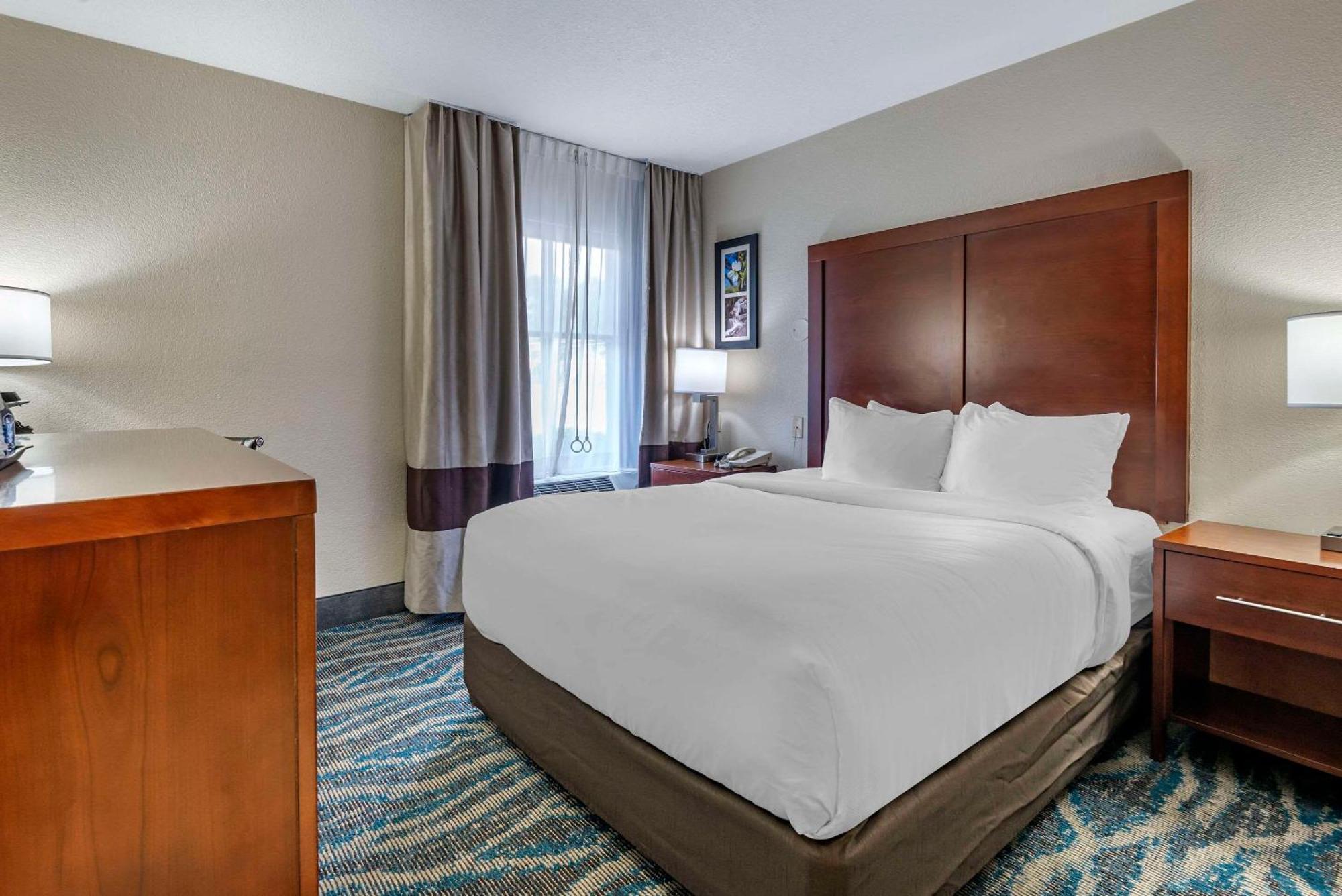 Comfort Inn Asheville East-Blue Ridge Pkwy Access Bagian luar foto